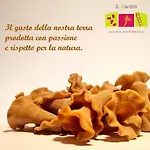 Con Cucina Il Favaio Farma