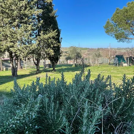 Con Cucina Il Favaio Paciano