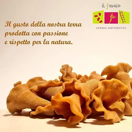 Con Cucina Il Favaio Séjour à la ferme