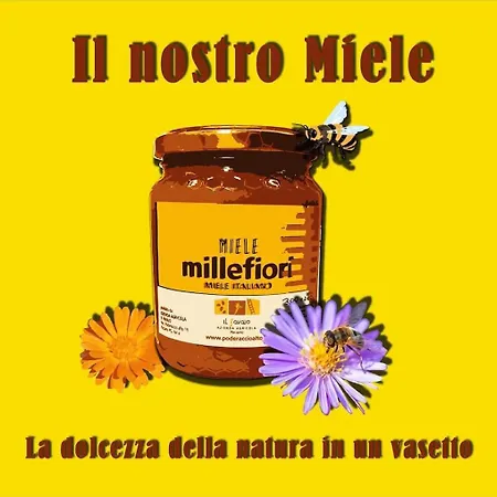 Con Cucina Il Favaio *