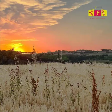 Bauernhof Con Cucina Il Favaio