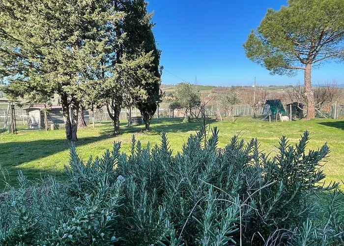 Con Cucina Il Favaio Paciano