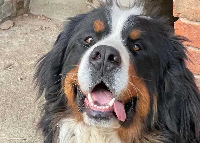 Con Cucina Il Favaio *