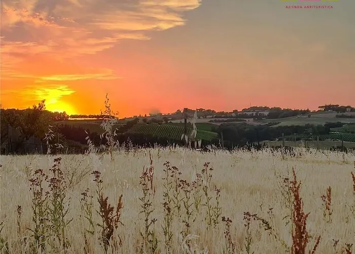 Farm stay Con Cucina Il Favaio