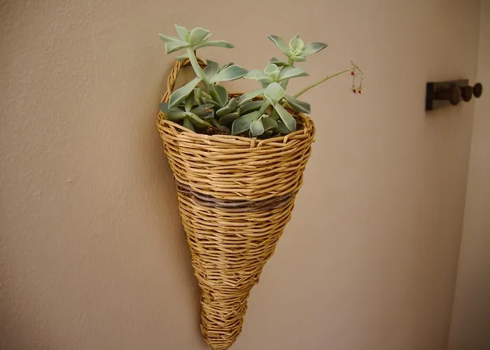 Séjour à la ferme Con Cucina Il Favaio