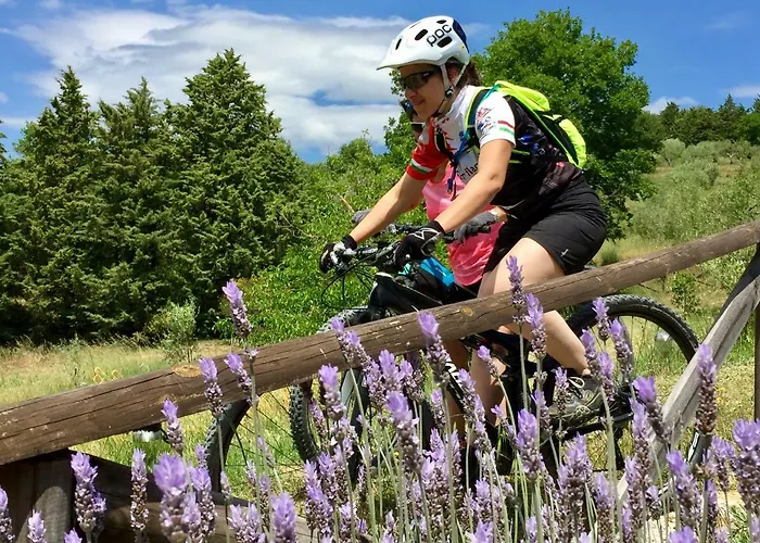 Farm stay Con Cucina Il Favaio