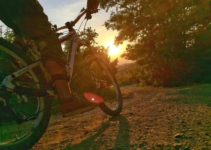 Con Cucina Il Favaio *